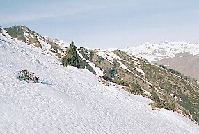 bourigue.jpg (24500 octets)