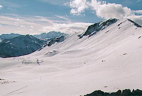 graoues.jpg (20893 octets)