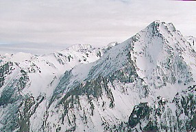 laubere1.jpg (29009 octets)